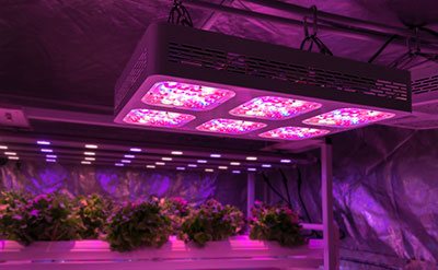 How to calculate grow light PPFD requirements? 