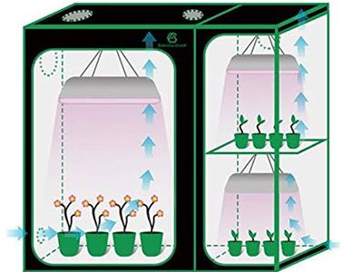 What is the Difference Between a 2-in-1 vs Two-room Grow Tent?