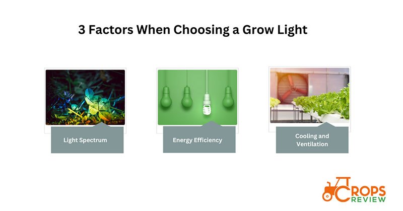 3 factors need to consider when choosing a grow light