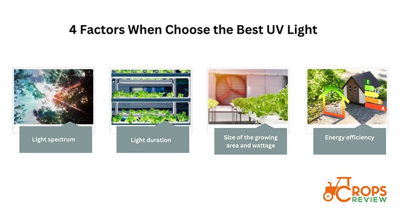4 factors to choose the best UV light for plants