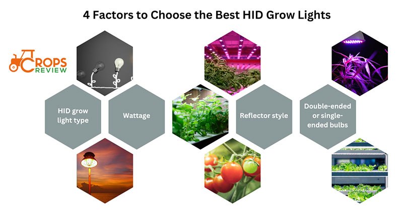 4 factors to choose the best HID Grow Lights