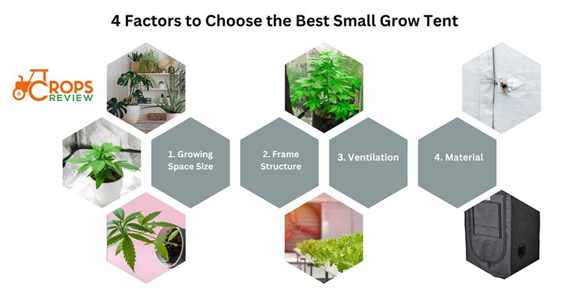 4 factors to Choose the Best Small Grow Tent