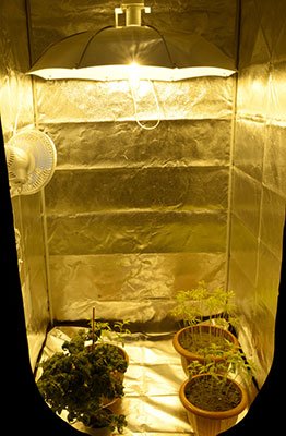 Suspend the grow light