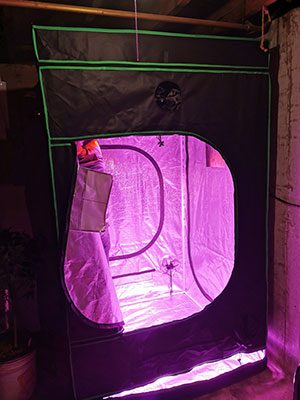 Grow Tent Shapes
