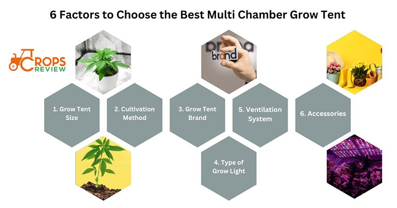 6 factors to Choose the Best Multi Chamber Grow Tent