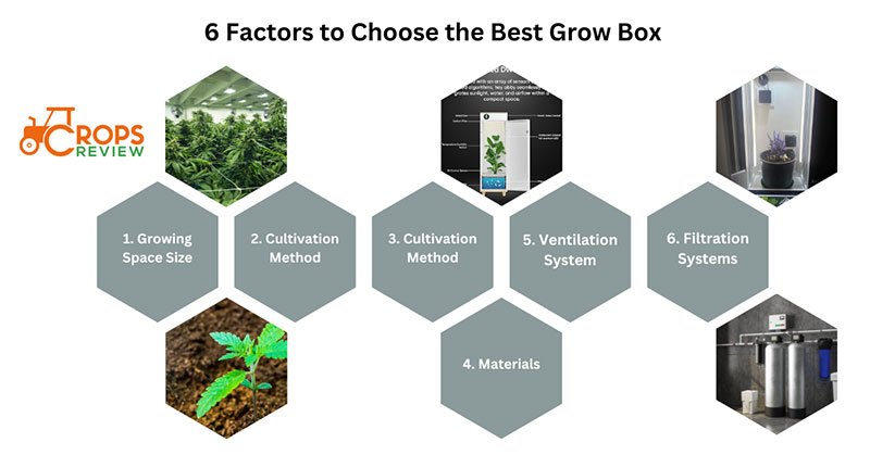 6 factors to Choose the Best Grow Box