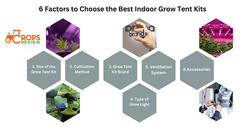 6 factors to Choose the Best Indoor Grow Tent Kits