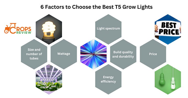 6 factors to choose the best T5 grow light