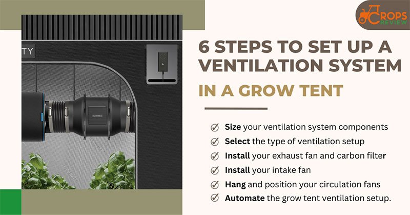 6 Steps to Set Up a Ventilation System in a Grow Tent