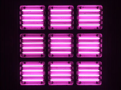 What's the best full spectrum LED grow lights?