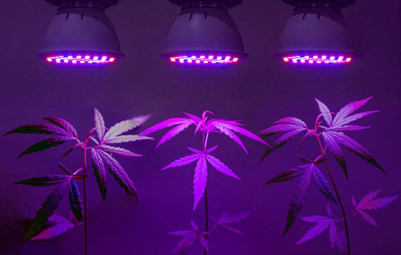 Hang the Grow Lighting System