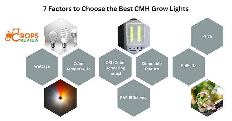 7 factors to choose the best CMH grow lights