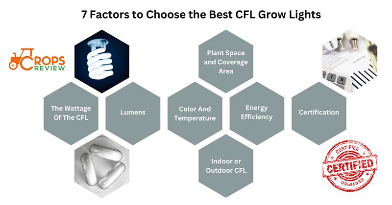 7 factors to choose the best CFL grow lights