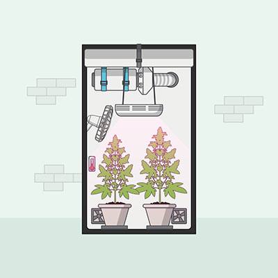 Grow Tent Size (Grow Space)