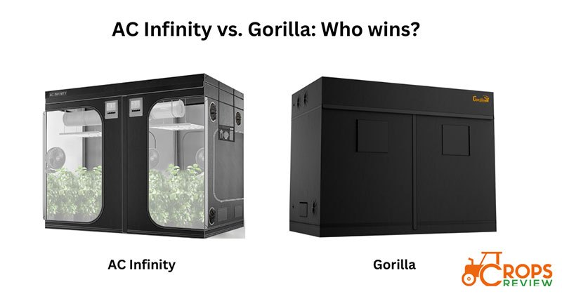 AC Infinity vs Gorilla: Which Brand is Better?