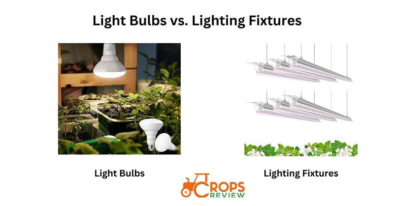 Choose Grow Bulbs or Lighting Fixtures