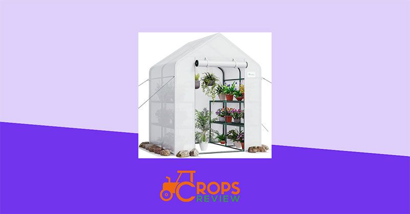10 Best Outdoor Grow Tents for Growing Marijuana, Cannabis, Vegetables ...