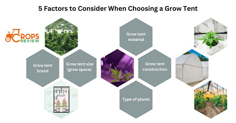 5 Factors to Consider When Choosing a Grow Tent