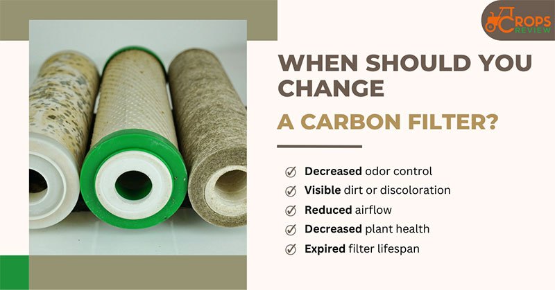 When should you change a carbon filter?